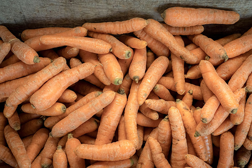 carrots-for-sale-at-vegetable-farm.jpg