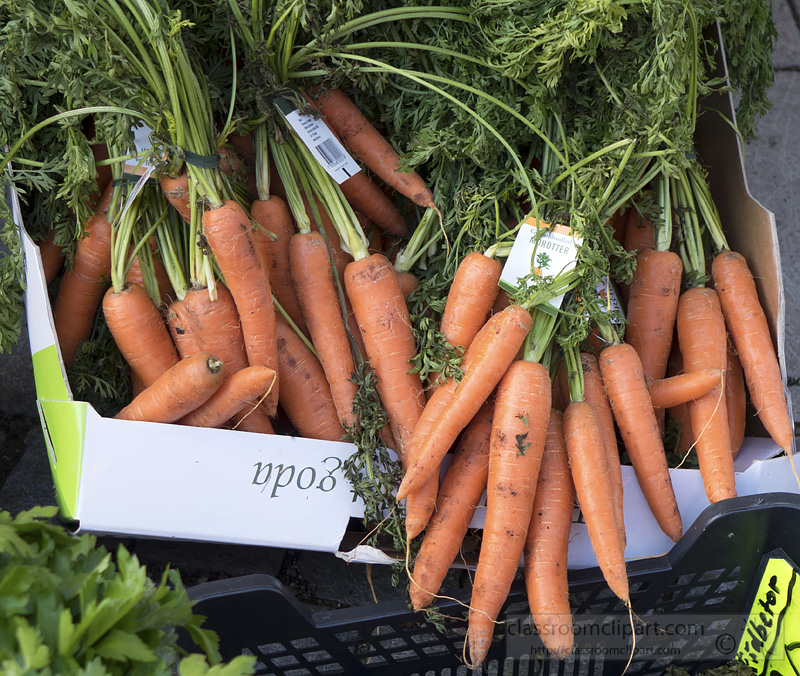picture-bunches-carrots-at-market-image-1646.jpg