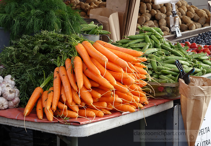 picture-carrot-bunches-at-market-iamge-555a.jpg