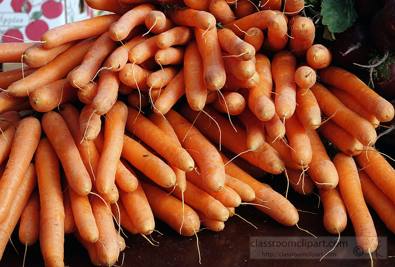 picture-carrot-bunches-at-market-image2560a.jpg