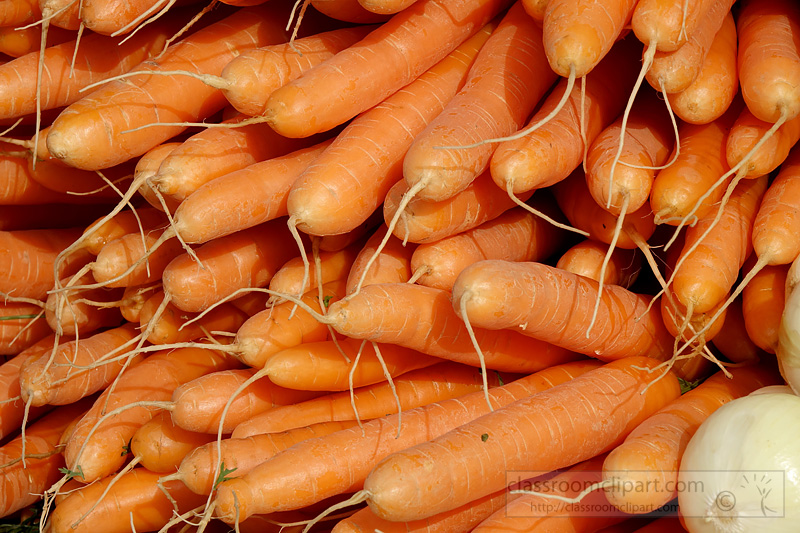 picture-closeup-carrots-freshly-picked-vegetable-image557a.jpg
