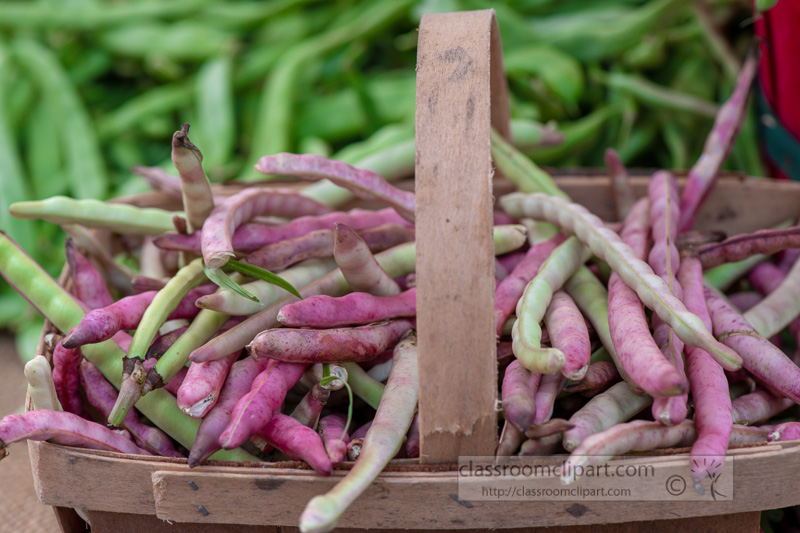 bunches-of-green-purple-pole-beans-in-basket-at-local-outdoor-market-00129.jpg