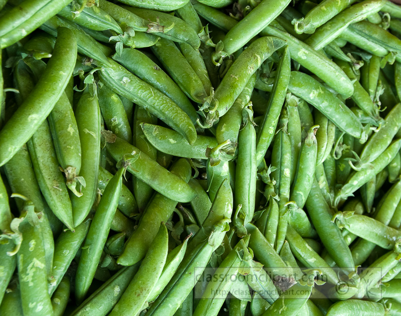 loose-fresh-peas-at-farmers-market-photo-image-565.jpg