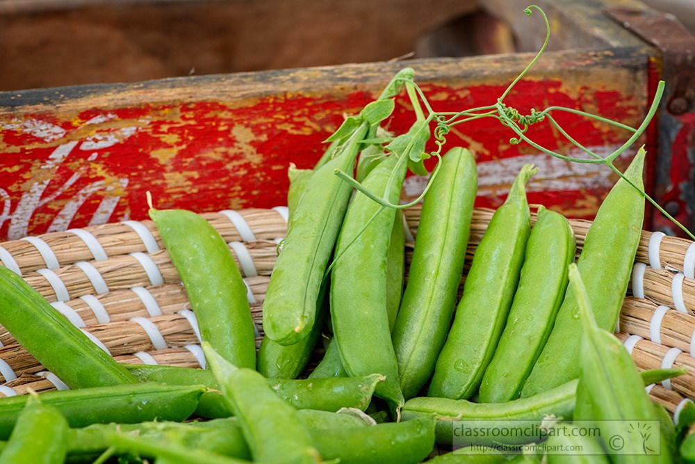 shot-of-ripe-pea-pods-in-basket-with-wood-background.jpg