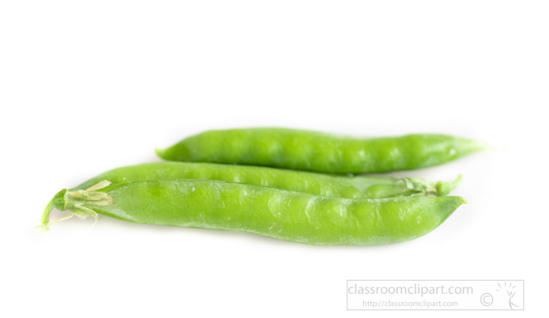 three-freshly-picked-green-peas-with-white-background-photo-image-5967-Edit.jpg