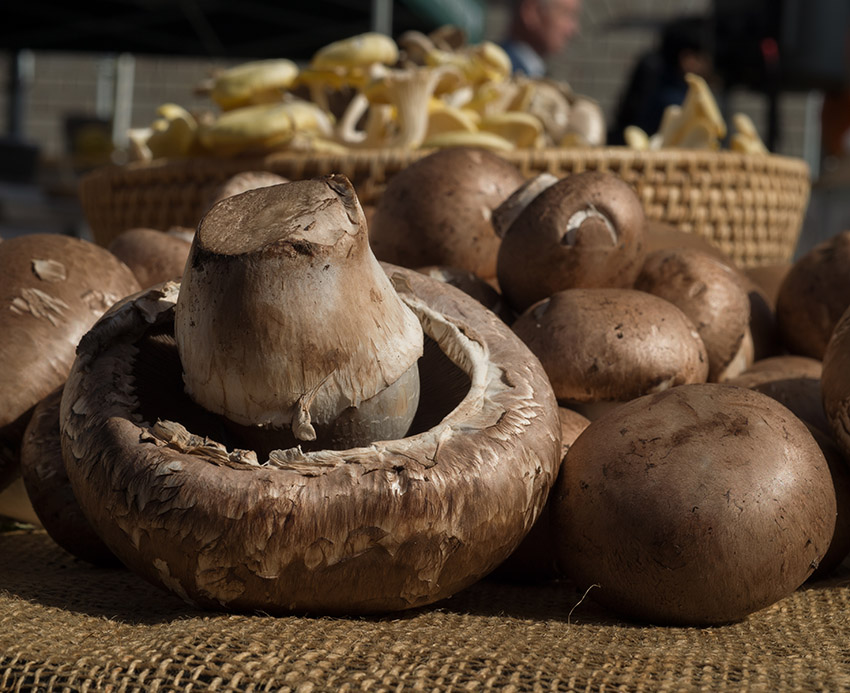 display-of-fresh-crimini-mushrooms.jpg
