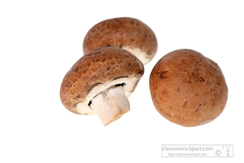 photo-image-portebello-mushroom-white-background-00153.jpg