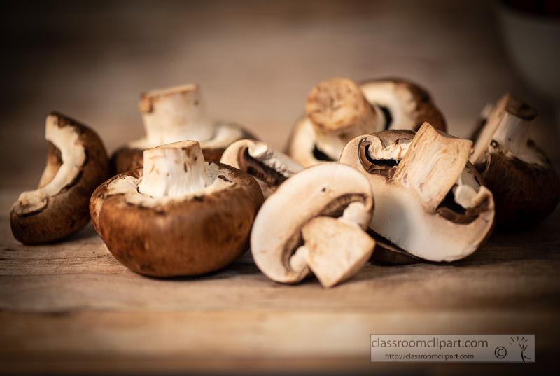 photo-image-portebello-mushroom-white-background-00171.jpg