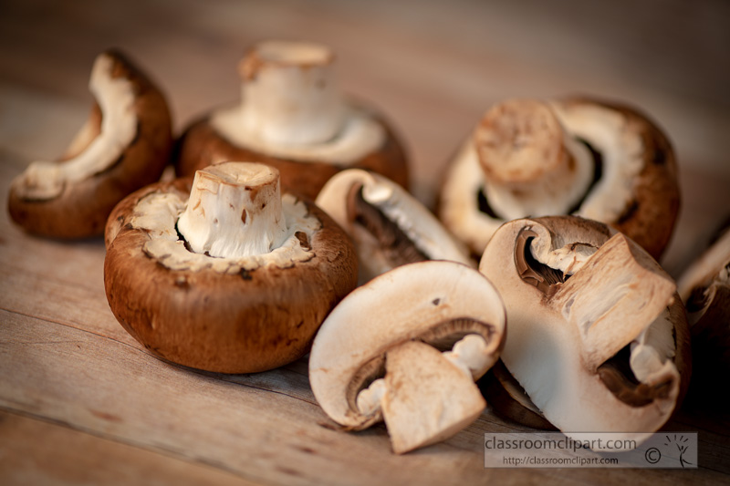 photo-image-portebello-mushroom-wood-background-00173.jpg