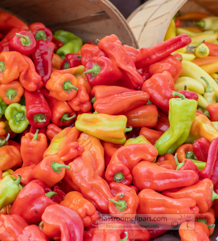 Display-of-red-orange-and-yellow-bell-peppers-at-a-farmers-market-9887.jpg