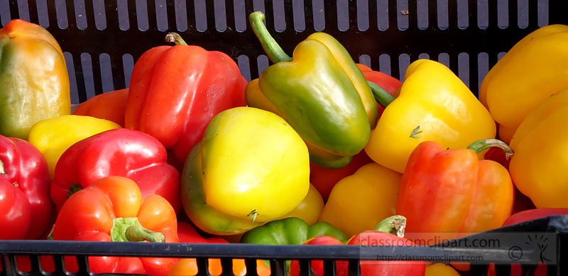 picture-red-yellow-orange-green-bell-pepers-vegetable-image559a.jpg