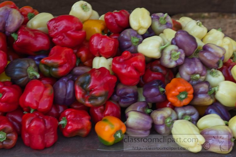 purple-orange-white-red-bell-peppers-local-market-1049.jpg