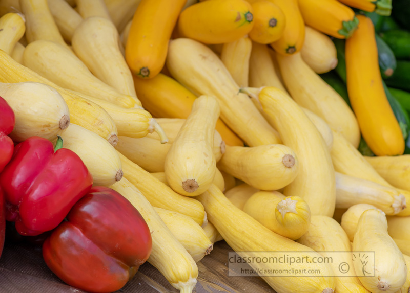 yellow-summer-zucchini-squash-farmers-market-0146.jpg