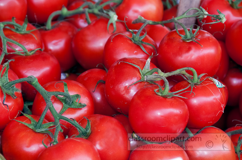 closeup-tomatoes-photo-image-559b.jpg