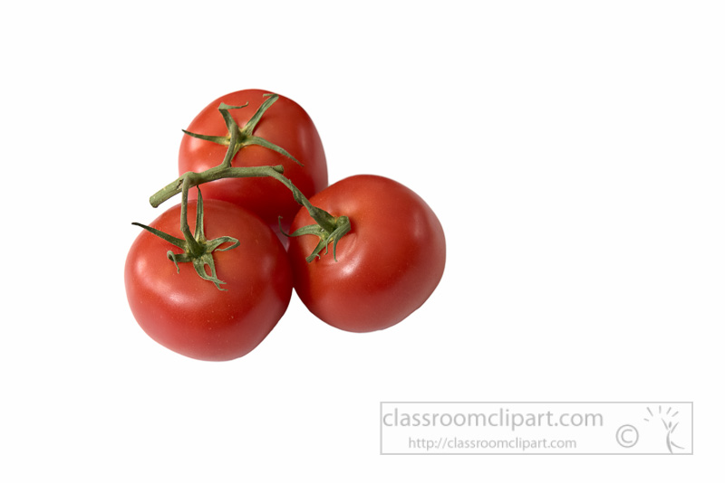 fresh-riped-tomatoes-on-white-background-photo-image-8296.jpg