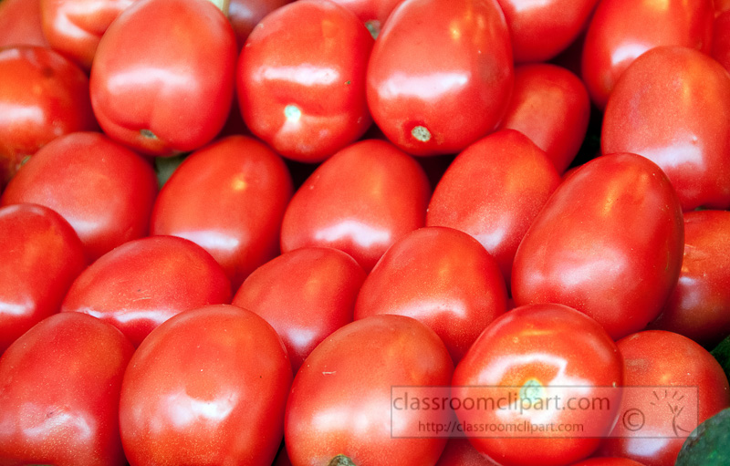 fresh-roma-tomato-farmers-market-photo-image-568.jpg