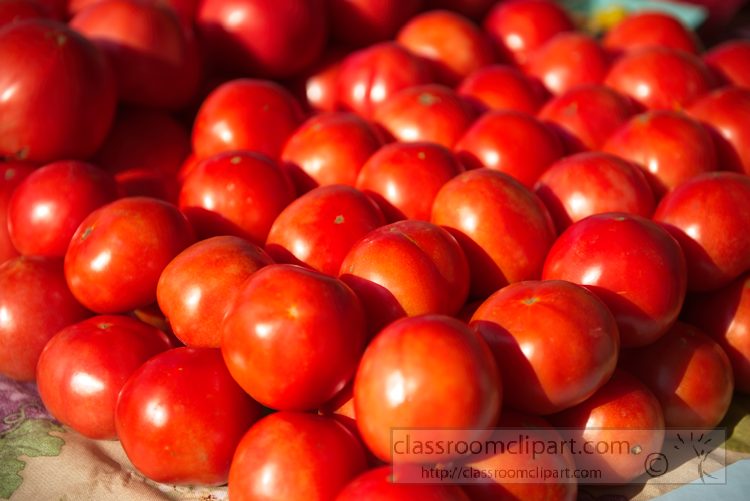 large-red-tomatoes-at-market-1027.jpg