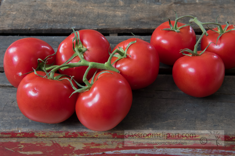 picked-fresh-tomatoes-on-the-vine-wood-background-photo-image-8262.jpg