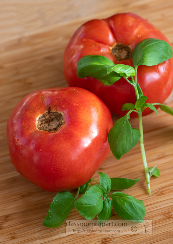 ripe-whole-tomatoes-with-fresh-basil-8500305-Edit.jpg