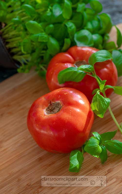 ripe-whole-tomatoes-with-fresh-basil-8500307.jpg