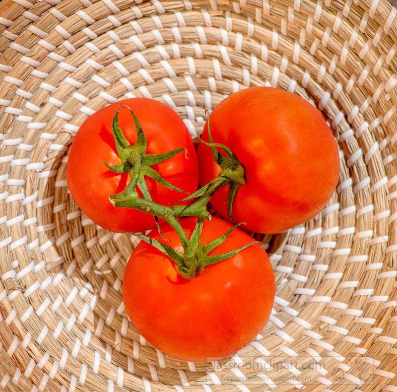 three-fresh-tomatoes-top-view-in-basket-photo-image-043A.jpg