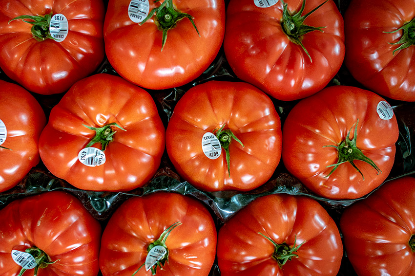 top-view-of-red-tomatoesjpg.jpg