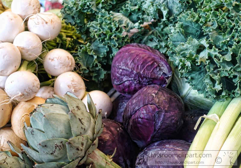 artichoke-red-cabbage-kale-onions-image2563T.jpg