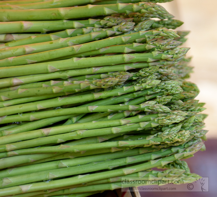 fresh-asparagus-for-sale-at-vegetable-market-in-yangon-myanmar-6824.jpg