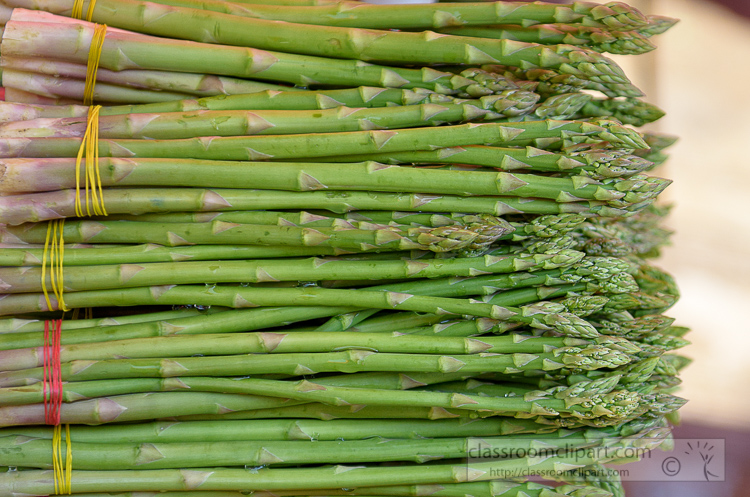 fresh-asparagus-for-sale-at-vegetable-market-in-yangon-myanmar-6824EE.jpg
