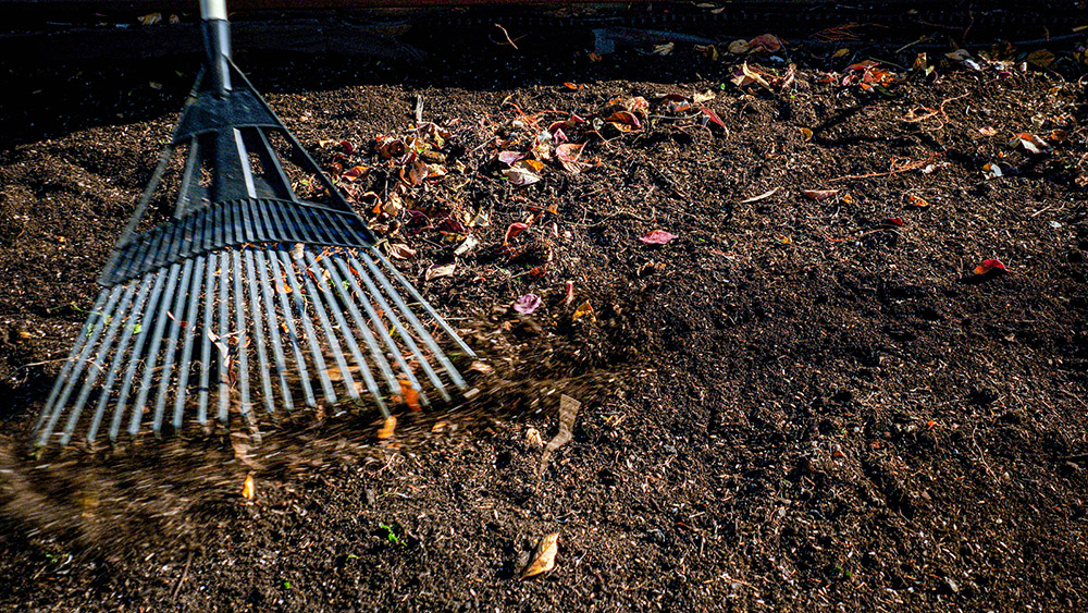 motion-of-rake-clearing-leaves-in-urban-farm.jpg