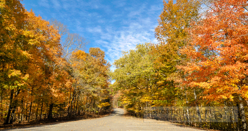 fall-color-tree-283b.jpg