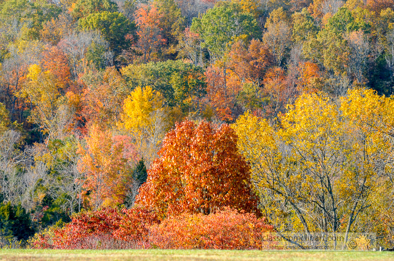 fall-colors-on-hillside.jpg