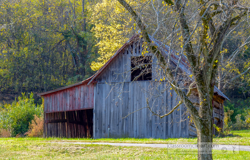old-barn-with-tree.jpg