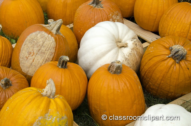halloween_pumpkin_4968.jpg