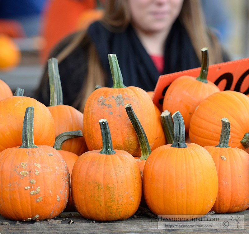 picture-small-pumpkins-for-sale-78A.jpg