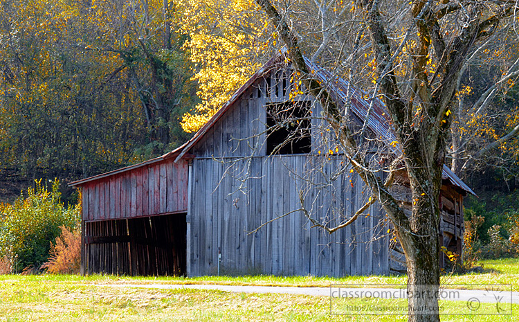 old-barn-with-tree-5.jpg