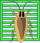 insect_icons_8.jpg