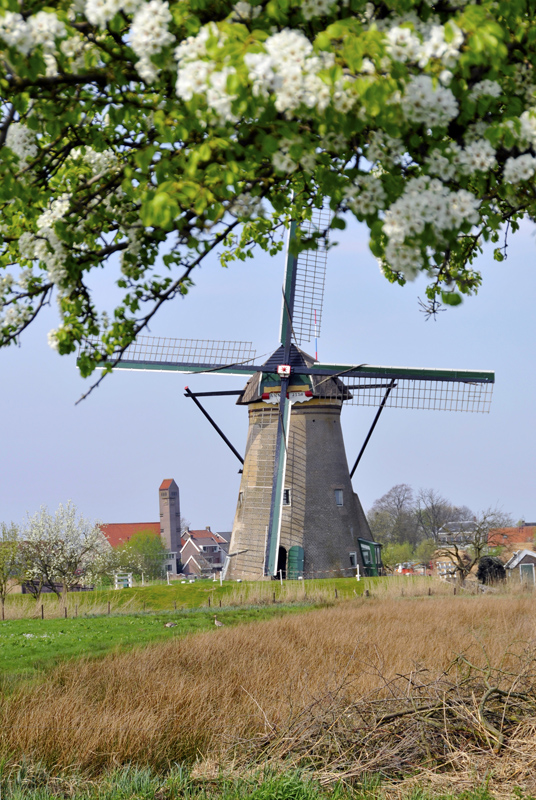 windmill_holland.jpg