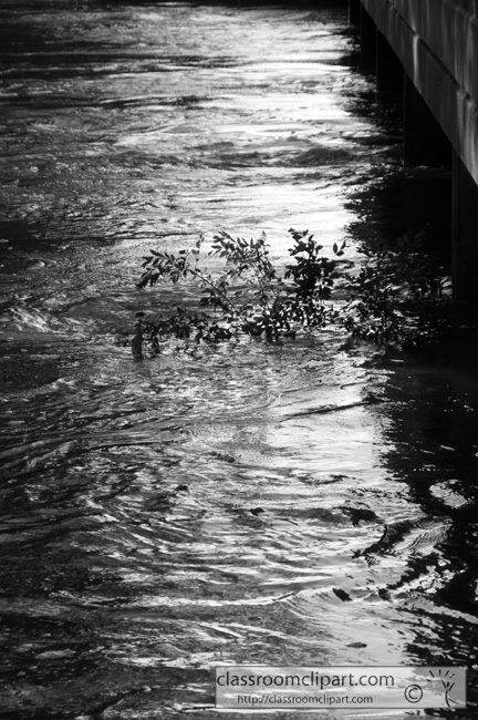 creek_flood_bw.jpg